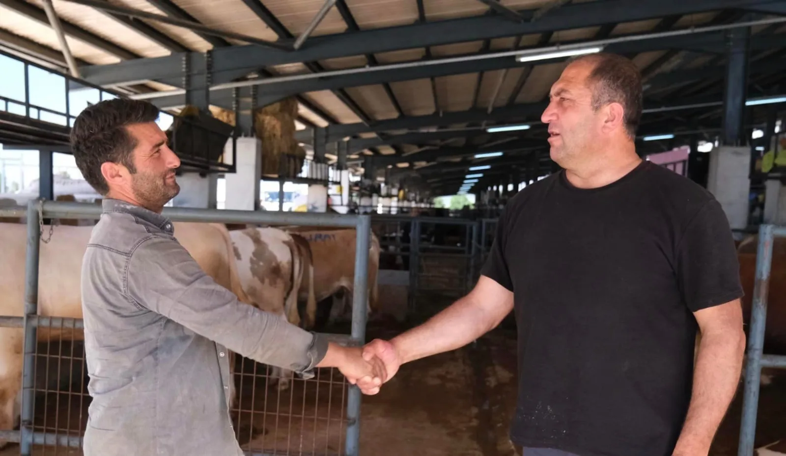 Kurban Bayramı'na sayılı günler kala kıran kırana pazarlıklar sürüyor
