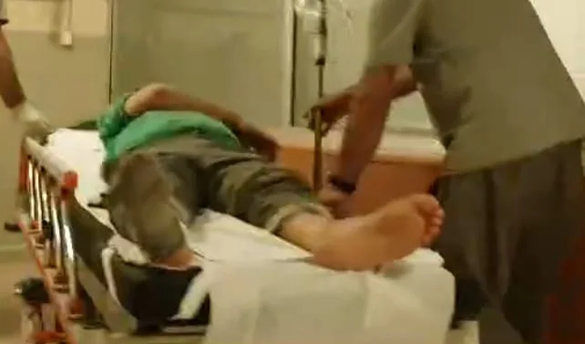 Zehirli yılanın ısırdığı kişi hastanelik oldu