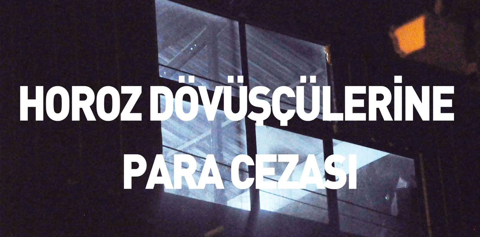 HOROZ DÖVÜŞÇÜLERİNE PARA CEZASI