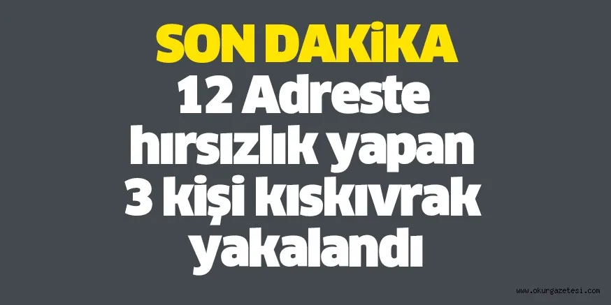 12 Adreste hırsızlık yapan 3 kişi kıskıvrak yakalandı