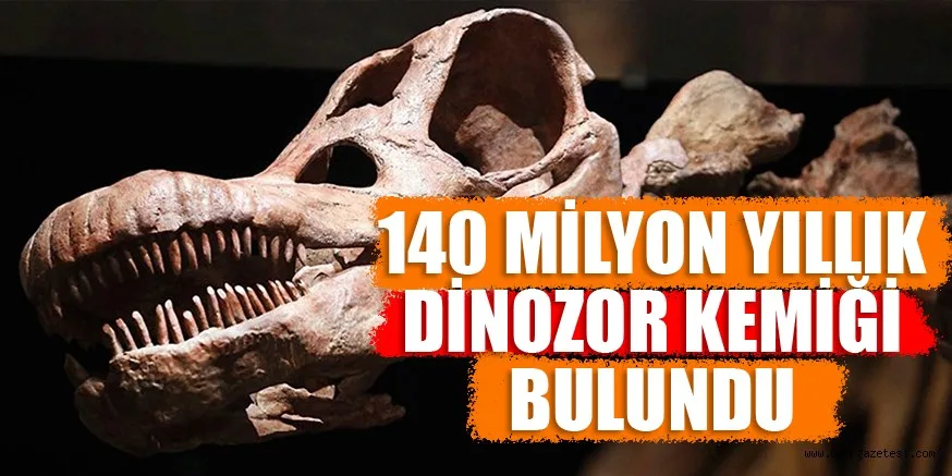 140 MiLYON YILLIK DiNOZOR KEMiĞi BULUNDU!