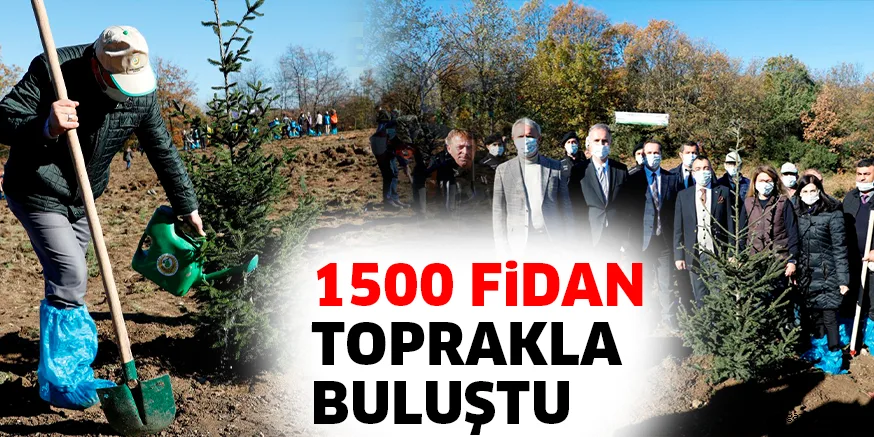1500 FiDAN TOPRAKLA BULUŞTU