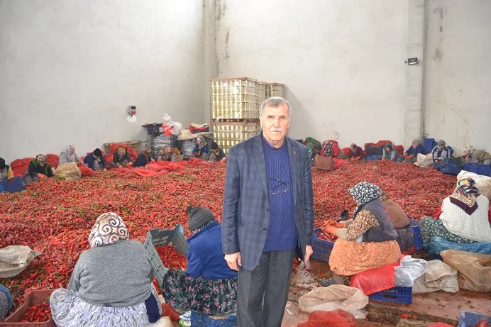 Kulaca'dan Hollanda'ya 400 ton salça