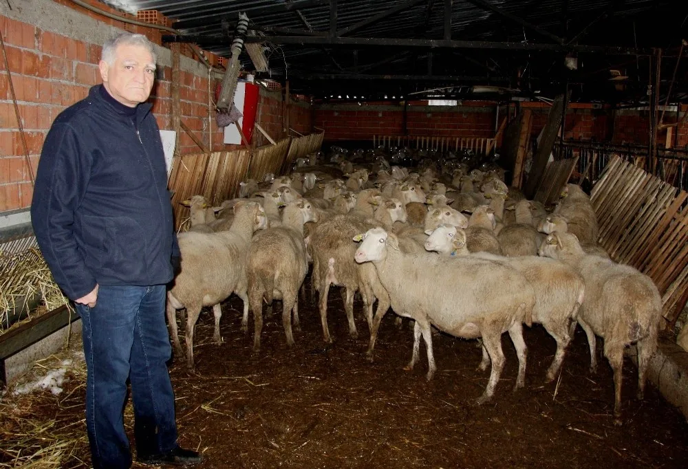 300 Koyun Projesi Cumhuriyet Tarihi Boyunca Düşünülmüş En Muhteşem Projedir
