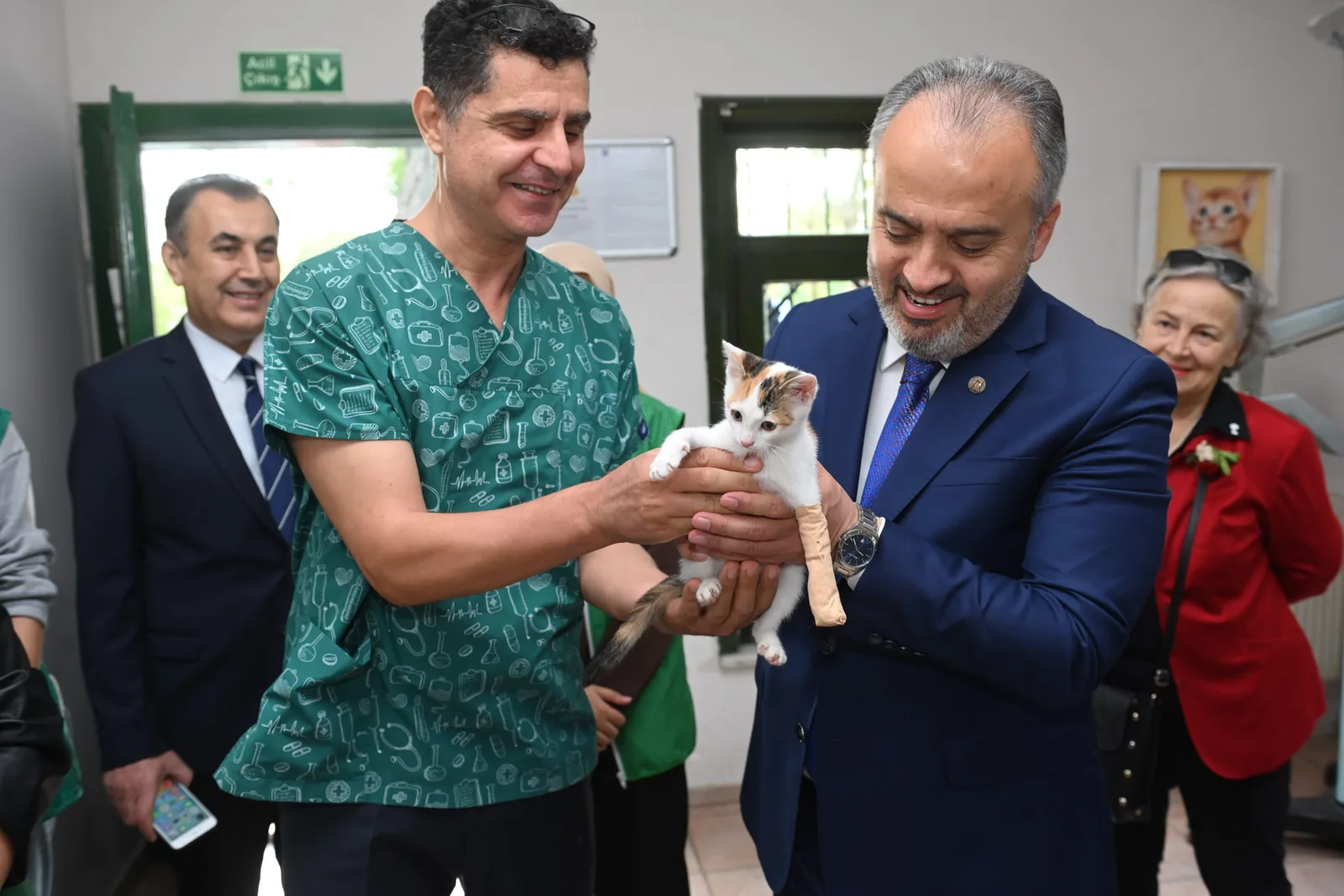 Sokak hayvanlarına Büyükşehir şefkati