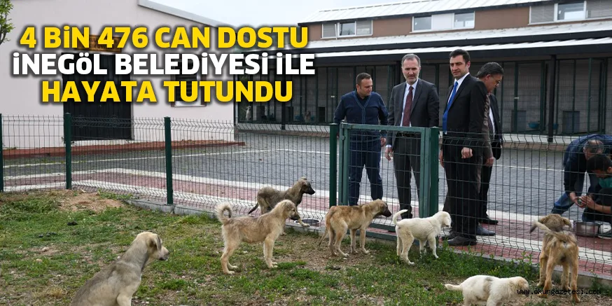 4 BiN 476 CAN DOSTU iNEGöL BELEDiYESi iLE HAYATA TUTUNDU