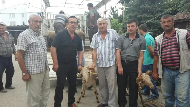 Çiftçiye koç desteği