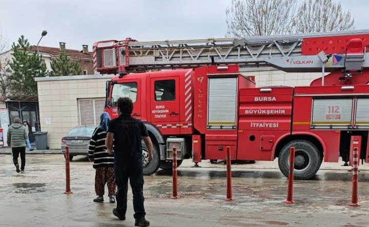 Kurtarmaya gittiği kedi hastanelik etti