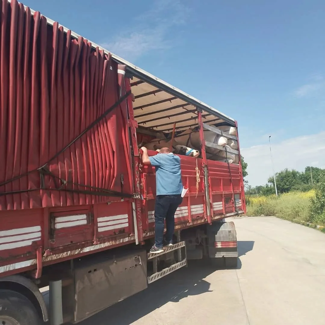 İnegöl'de denetimler hat safhada