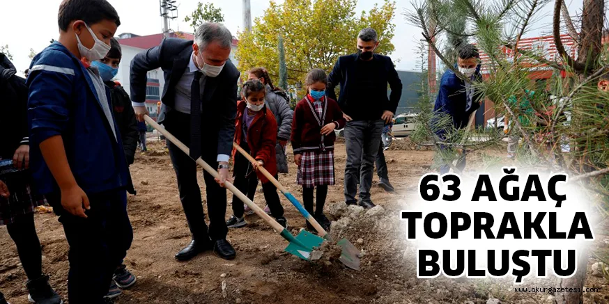 63 AĞAÇ TOPRAKLA BULUŞTU