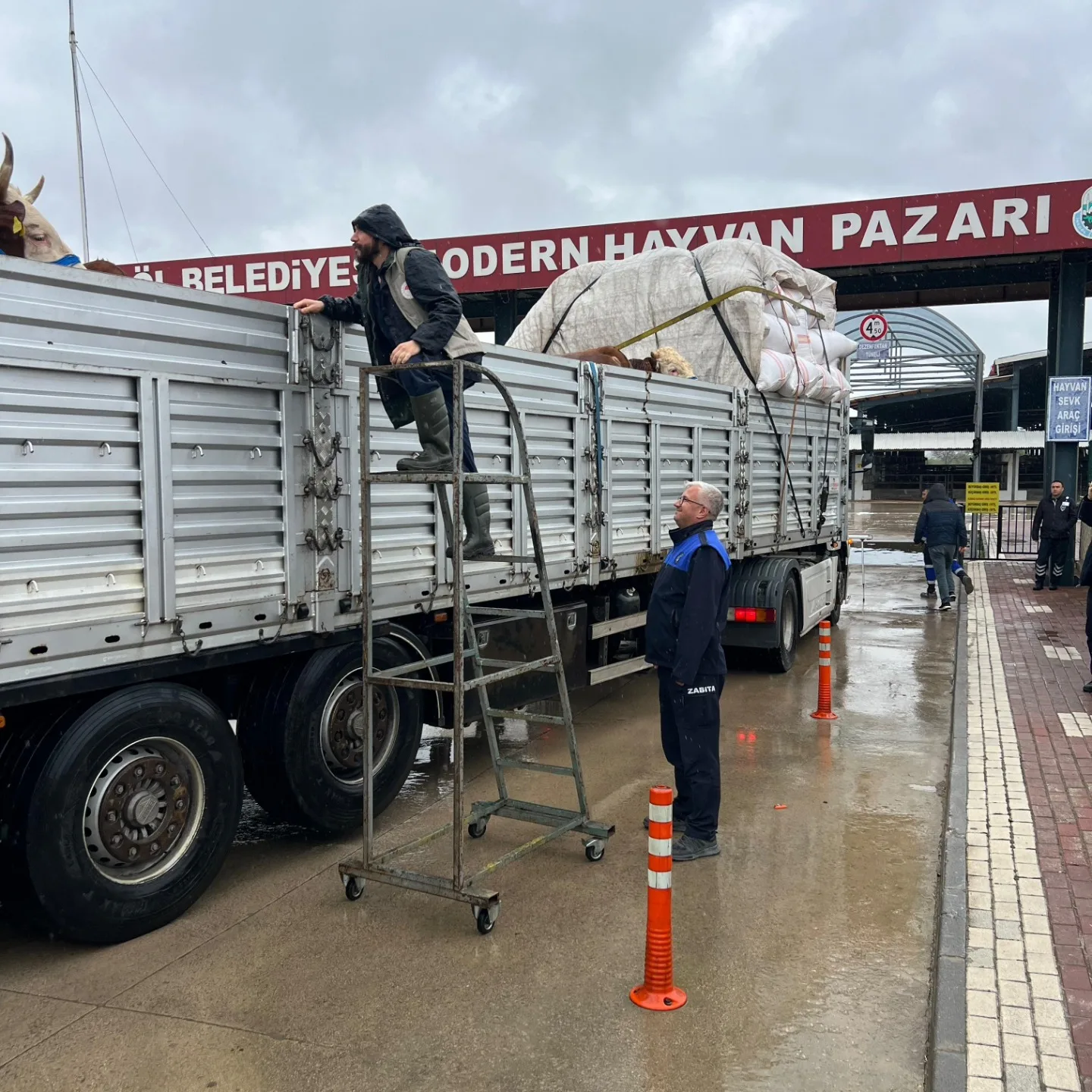 Hayvan Pazarı’nda sıkı denetim
