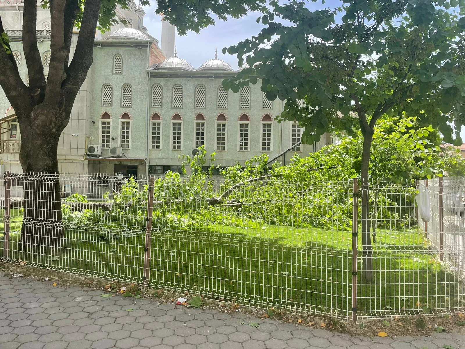 İnegöl'de cami bahçesinde devrilen ağaç bir kişiyi yaraladı
