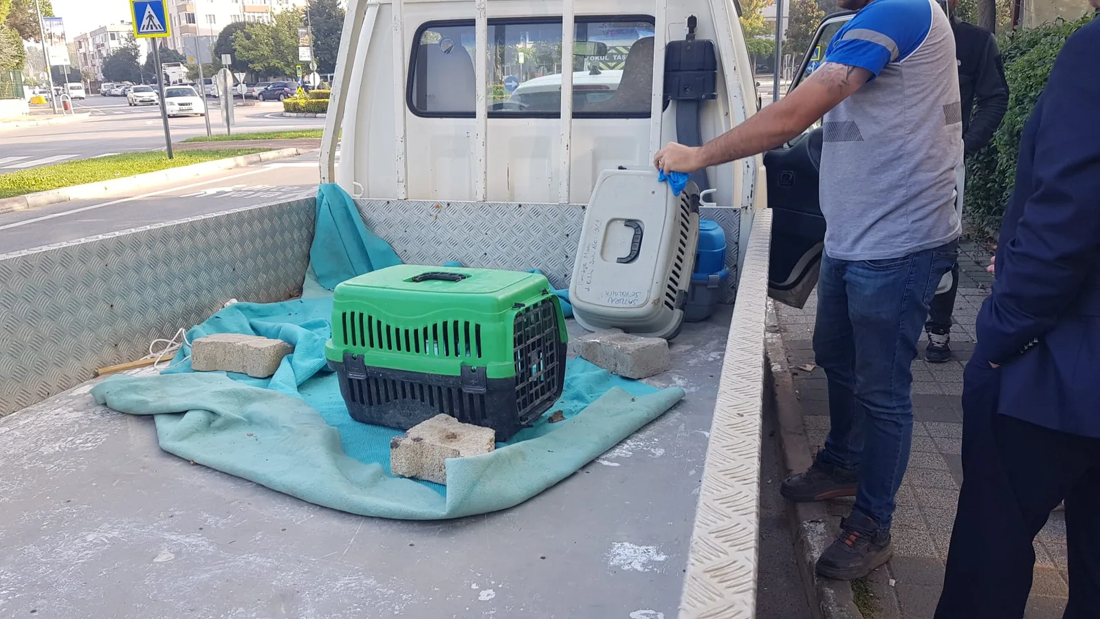 İnegöl'de can yakan görüntü Kedi işkence edilerek öldürüldü