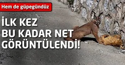 İlk kez bu kadar net görüntülendi