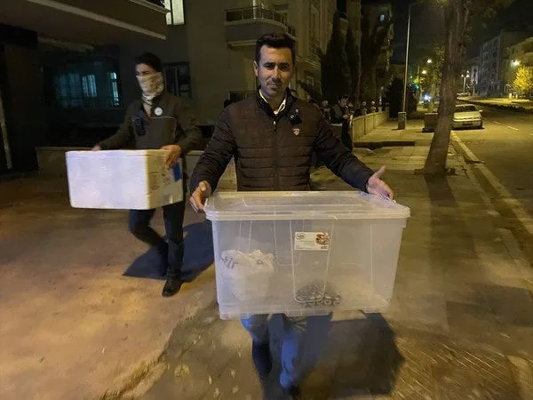 Kraliyet pitonu, çin kaplumbağası ve sakallı ejderler ile 9 yavrusu...
