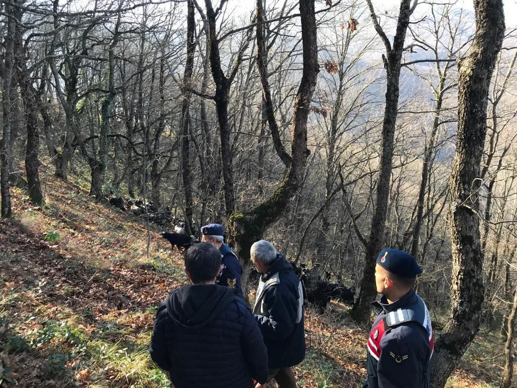 Ormanda kaybolan küçükbaş sürüsünü jandarma buldu