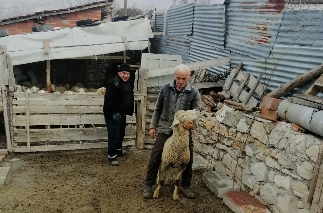 Üreticiler kurbanlık küçükbaş hayvanlarını depremzedelere bağışladı