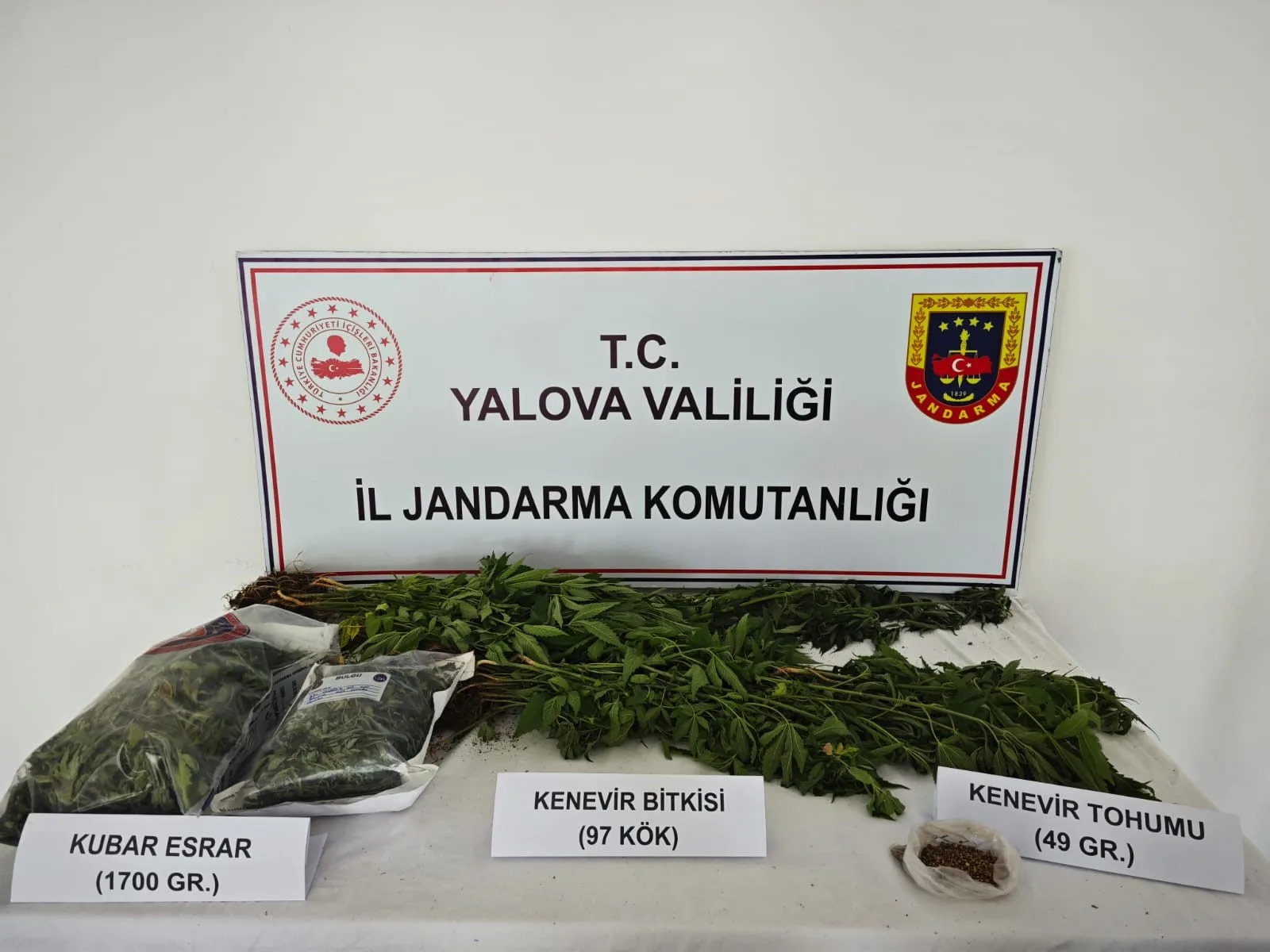 Villasında kenevir yetiştirdiği iddia edilen şüpheli tutuklandı