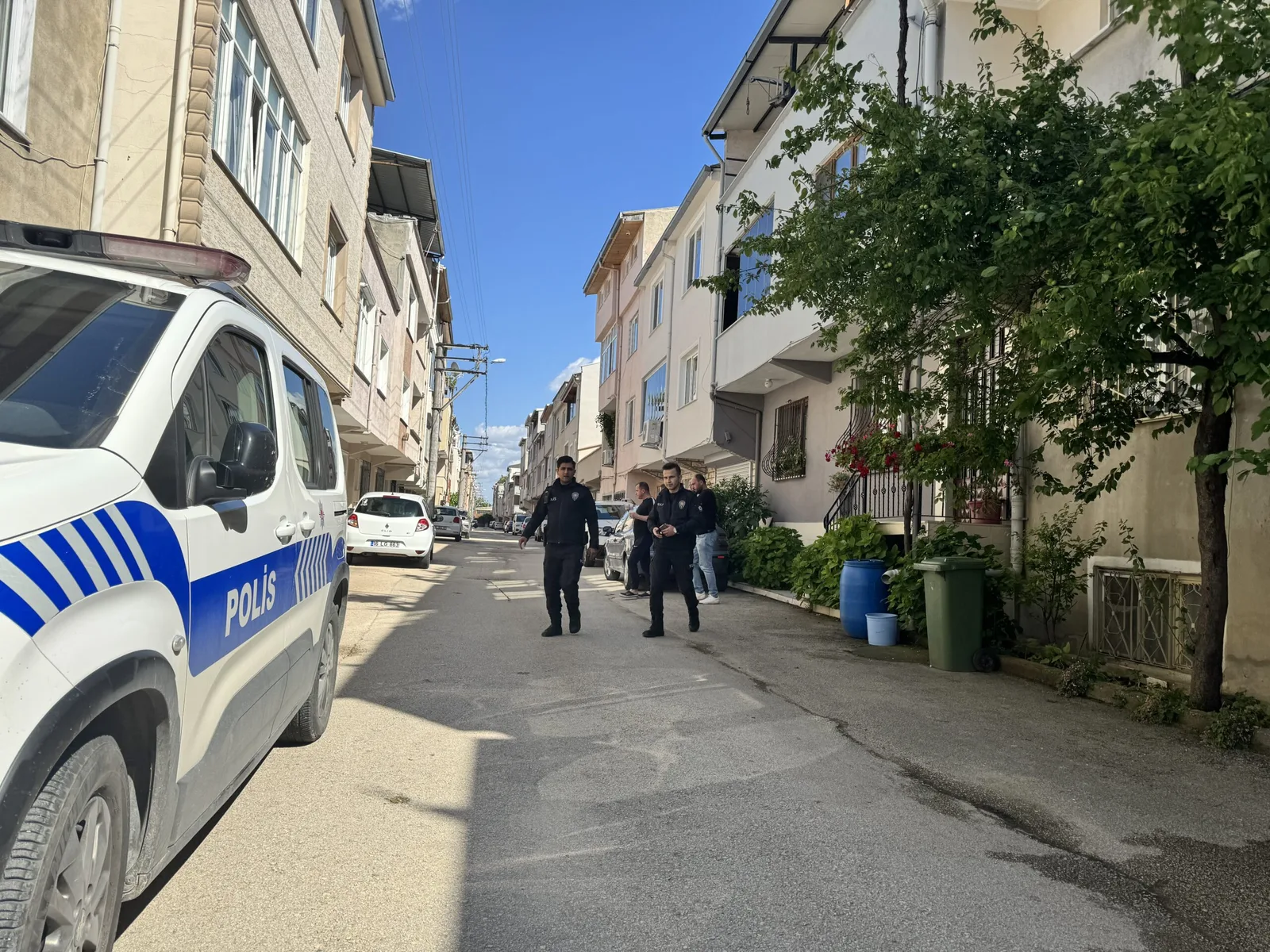 Sahipsiz köpeklerin saldırısına uğrayan 3 çocuktan 2'si yaralandı