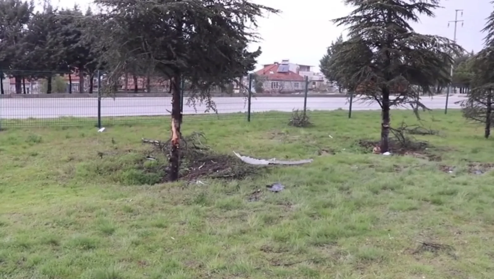 Ağaca çarpan otomobildeki 1 kişi öldü, 3 kişi yaralandı