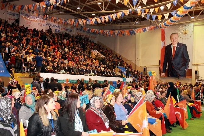 Ak Parti Genel Başkan Yardımcısı Ataş, Yalovadan Referandum Çalışma Startını Verdi