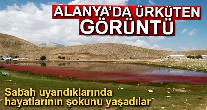 Alanya’da kırmızıya dönen göl şaşırttı