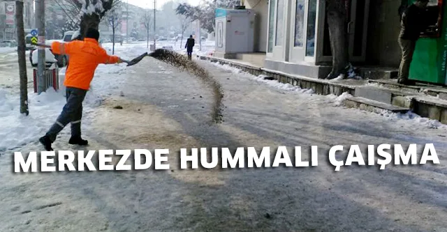 HUMMALI ÇALIŞMA