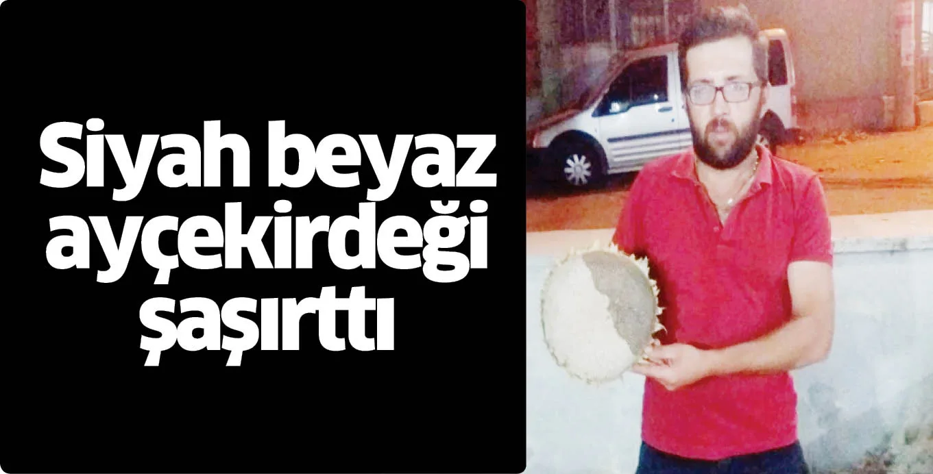 Siyah beyaz ayçekirdeği şaşırttı