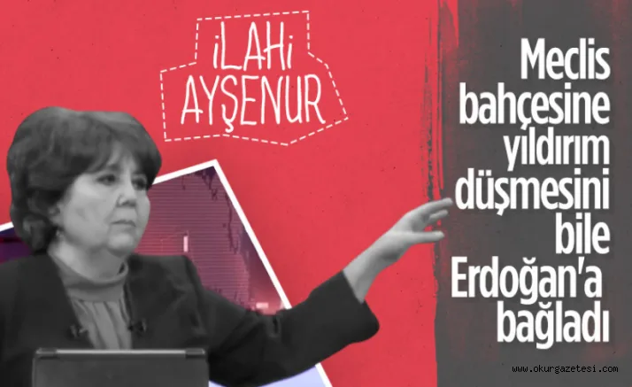 Ayşenur Arslan Meclis'e düşen yıldırımı Erdoğan'a bağladı