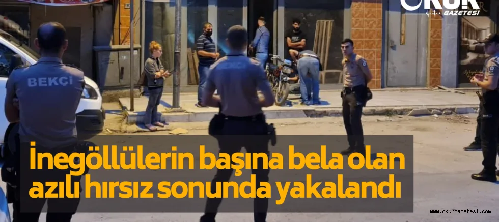 Azılı hırsız sonunda yakalandı
