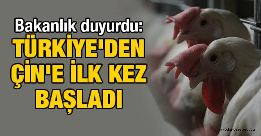 Bakanlık duyurdu: Türkiye'den Çin'e ilk kez başladı