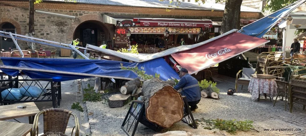 Bursa'da İç Koza Han'daki bir ağaç devrildi
