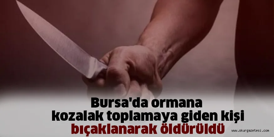 Bursa'da ormana kozalak toplamaya giden kişi bıçaklanarak öldürüldü