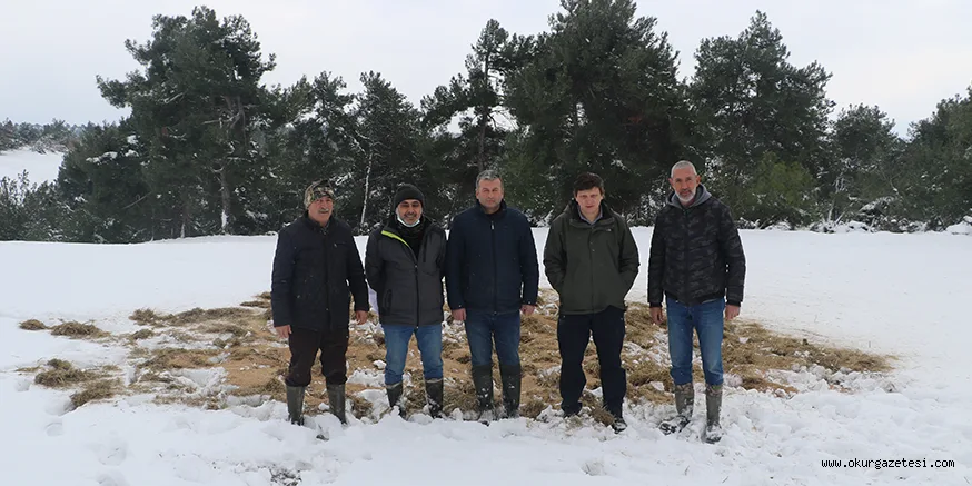 Bursa'da yaban hayvanları için doğaya yem bırakıldı