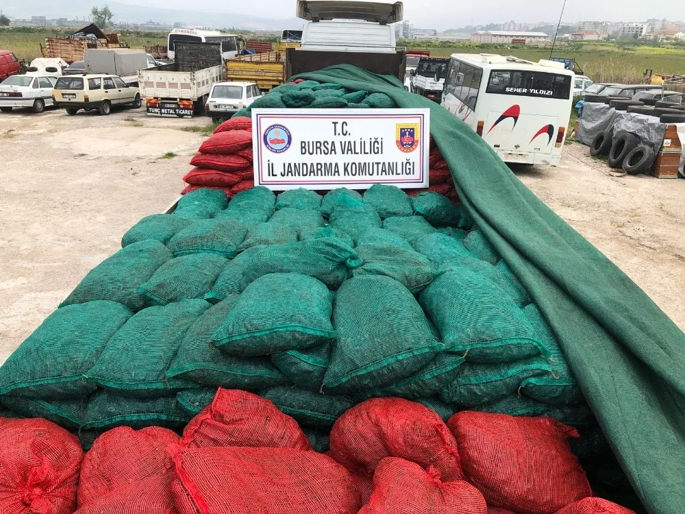 Bursada 30 Ton Kaçak Midye Ele Geçirildi