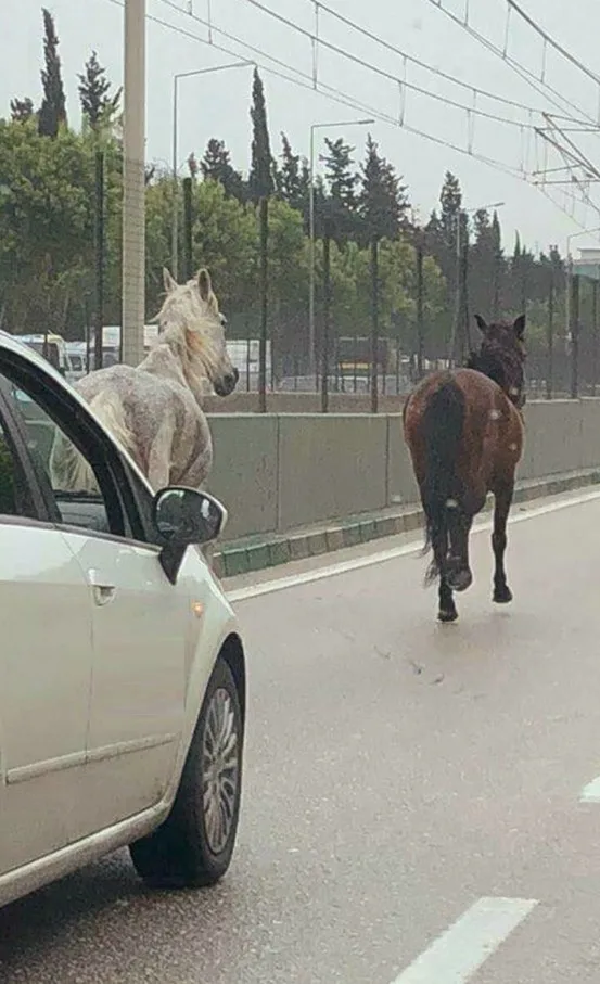 Bursada Şaşırtan Görüntü