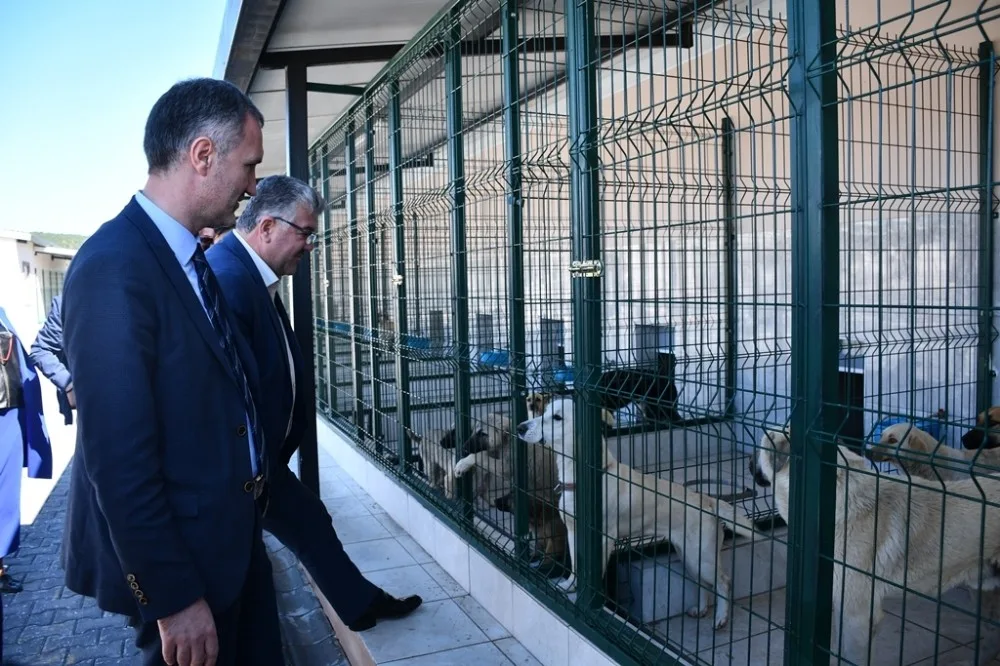 Bursaya Örnek Hayvan Bakım Merkezi