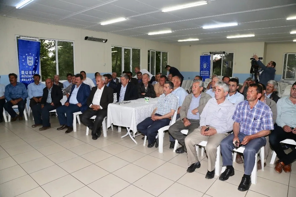 Büyükşehir, Büyükorhanın Yanında