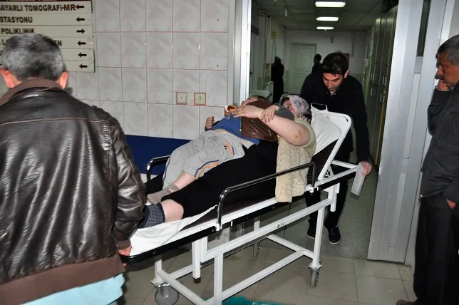 Yoldan çıkıp ağaca çarptı