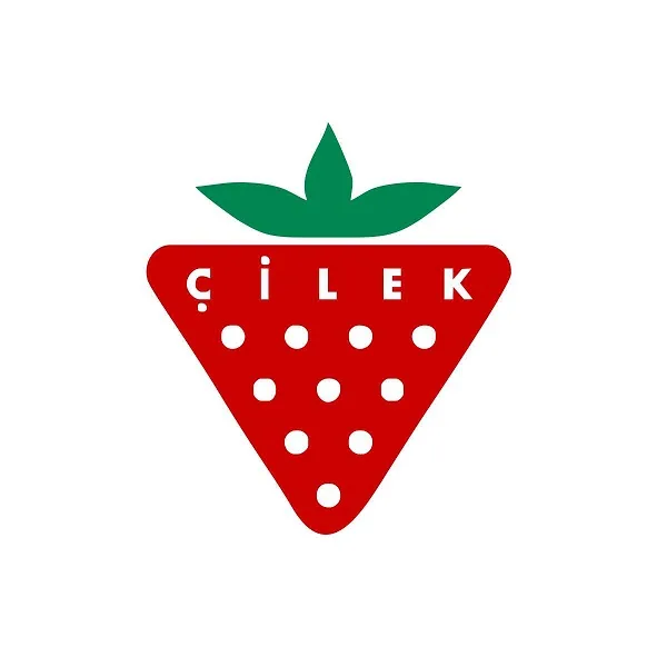 Çilek Mobilya, vergi rekortmeni
