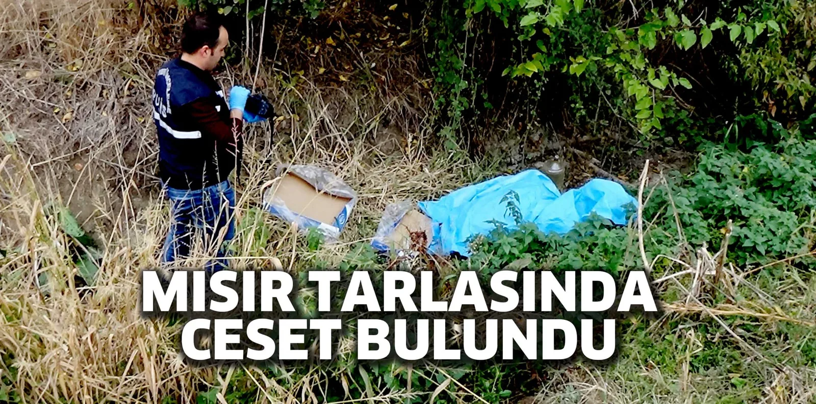 MISIR TARLASINDA CESET BULUNDU