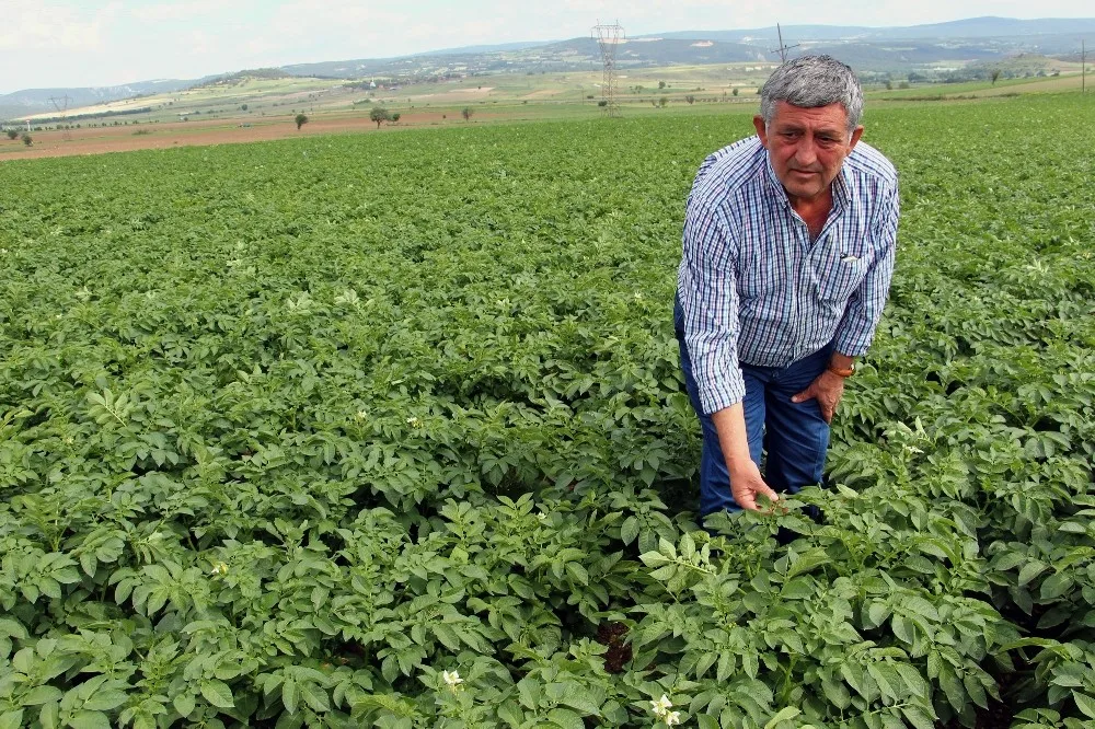 Çiftçi “Sarı Lira”Dan Umutlu