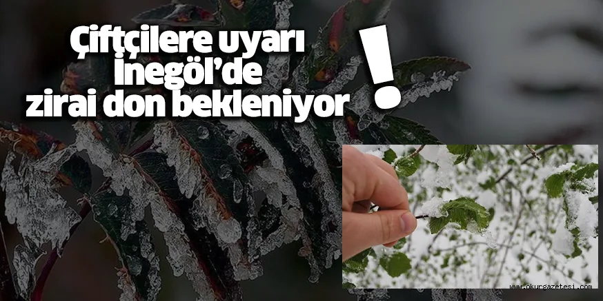 Çiftçilere uyarı İnegöl’de zirai don bekleniyor !