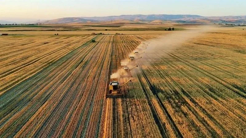 ÇKS başvurularında son günler