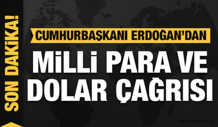 Cumhurbaşkanı Erdoğan'dan İslam ülkelerine milli para ve dolar çağrısı!