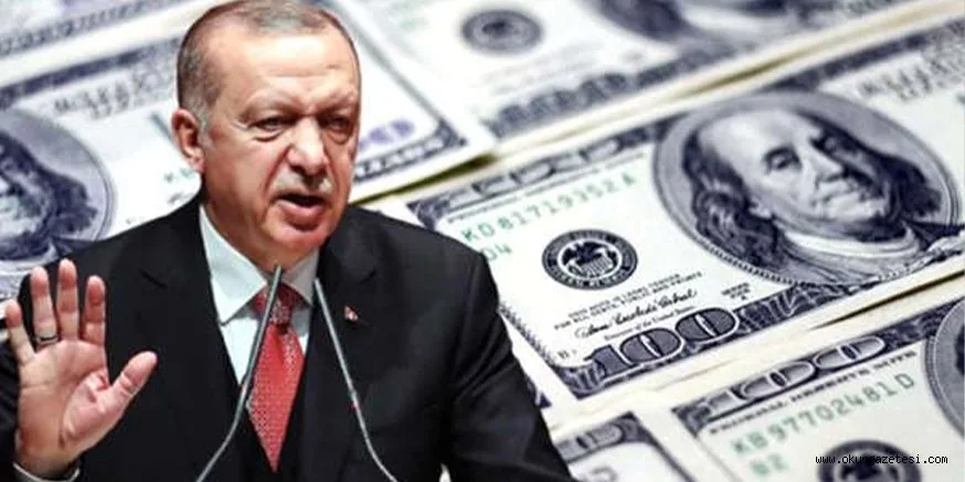 Cumhurbaşkanı Erdoğan'ın TL mevduatıyla ilgili açıklaması sonrası dolarda ani düşüş