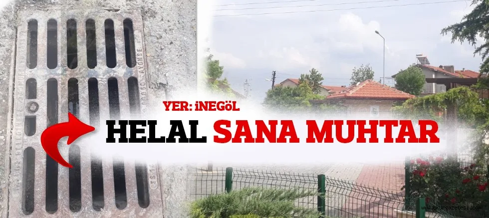 DEVLET GiBi MUHTAR