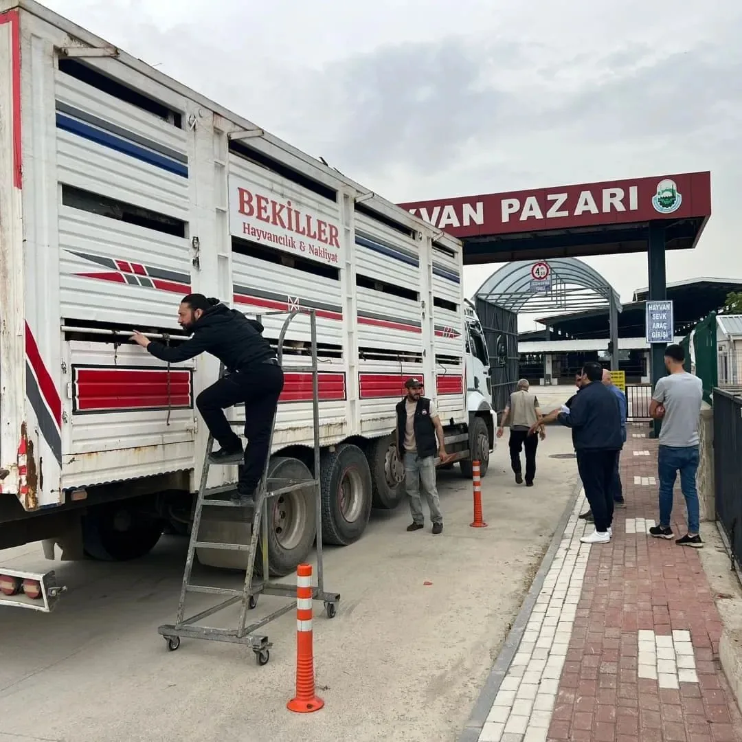 İnegöl'e gelen kurbanlıkların girişi sıkı denetim altında