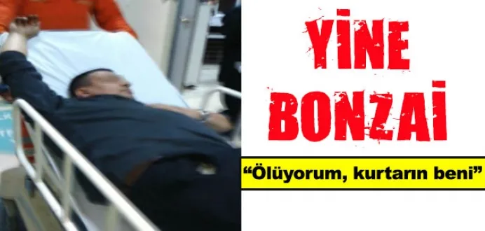 Bonzai içen 49 yaşındaki adam hastanelik oldu