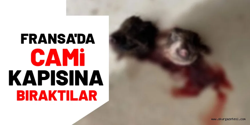 FRANSA'DA CAMİLERE SALDIRI